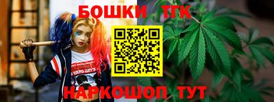 ешки Партизанск