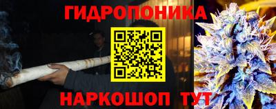 тгк Пенза