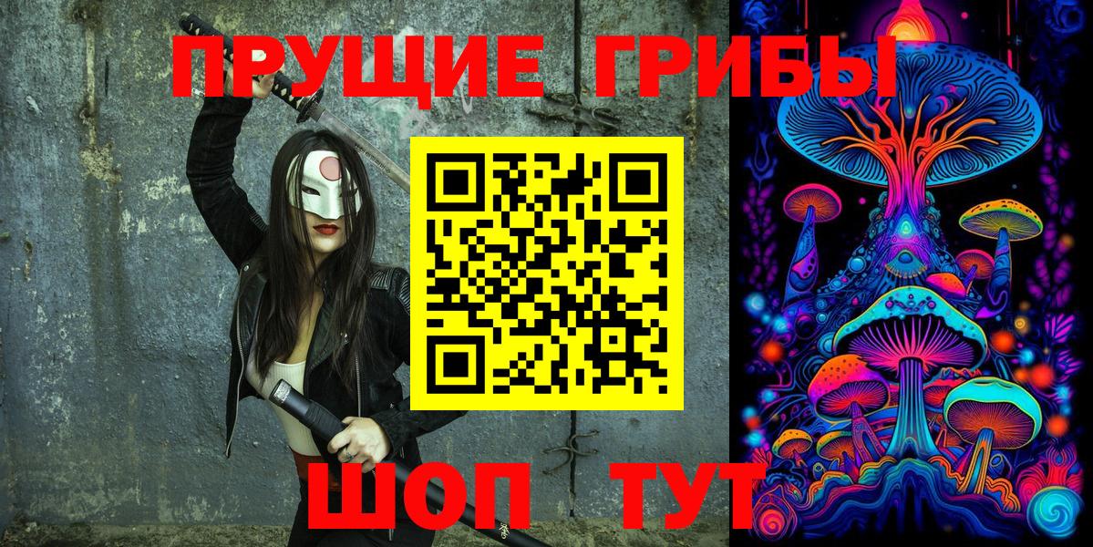 Псилоцибиновые грибы Psilocybe Тамбов